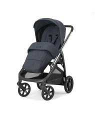 Inglesina - System Aptica Darwin