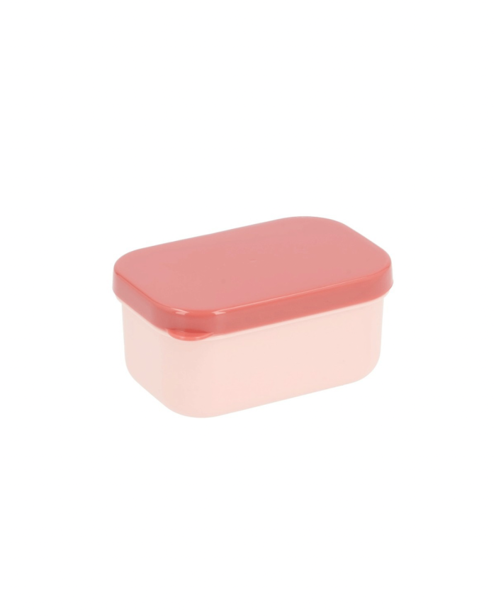 Tutete - Bento Box